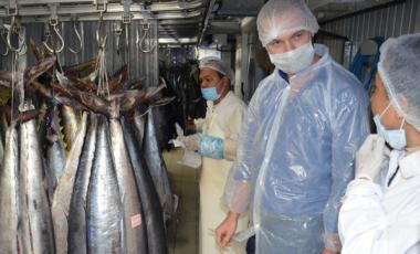 Nicolas Metzdorf a visité les ateliers de transformation de Tuna Pacific et Pescana le 31 janvier.
