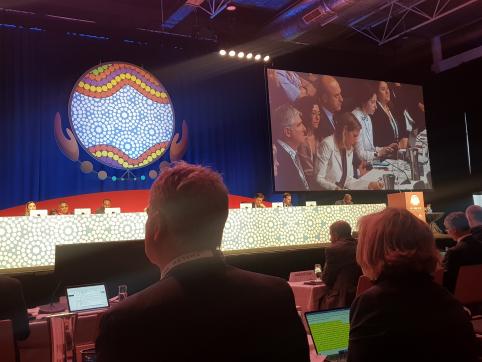 La Calédonie a participé à la séquence ministérielle, le 8 novembre, durant laquelle a été signée la déclaration de Canberra, plan d’actions pour la période 2020-2024.